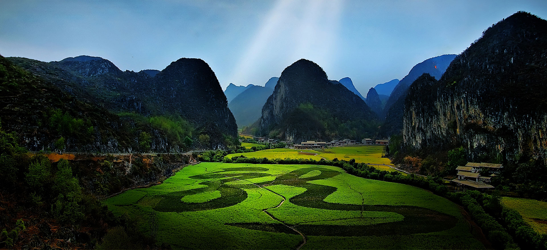 贵州安顺龙字田图片|贵州安顺龙宫龙字田花海